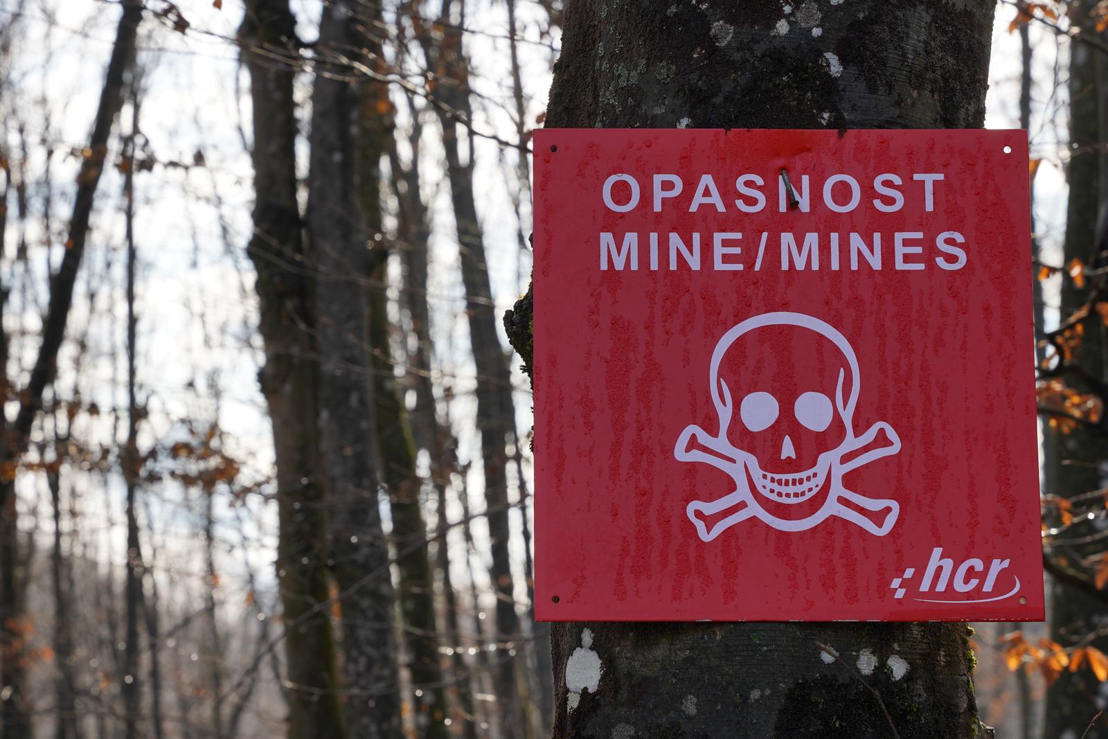 Minsko polje