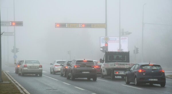 25.02.2025., Sisak - Gusta magla na gradskim prometnicama. Photo: Nikola Cutuk/PIXSELL