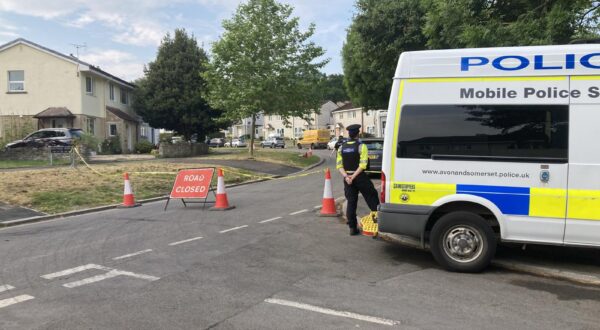 Britanska policija