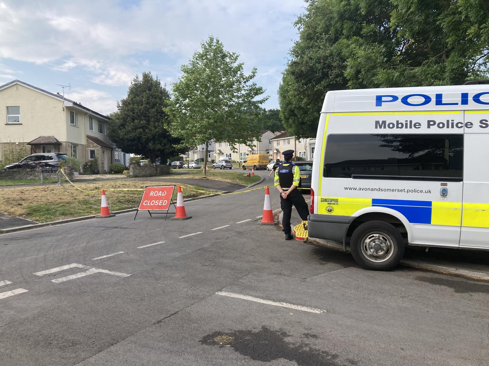 Britanska policija