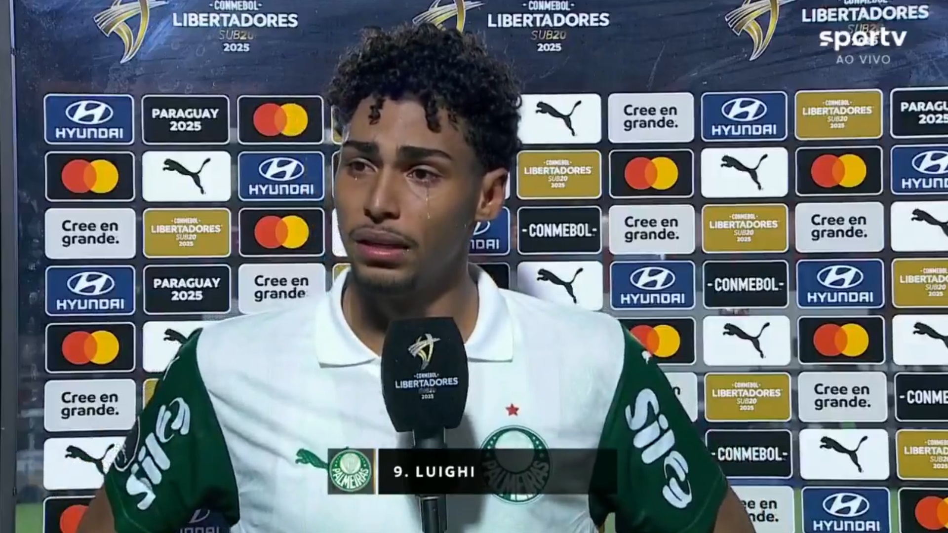 luighi palmeiras