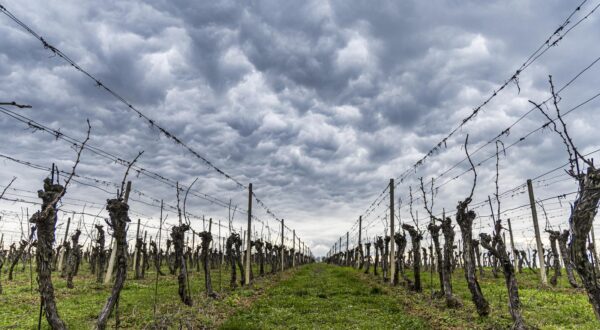 02.04.2025., Beli Manastir - Oblacno poslijepodne u Baranji. Photo: Borna Jaksic/PIXSELL