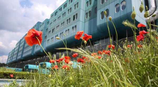 06.06.2021., Zagreb - Klinicka bolnica Dubrava otvorila je nakon 217 dana vrata za pacijente koji nisu zarazeni koronavirusom.rPhoto: Zeljko Hladika/Pixsell