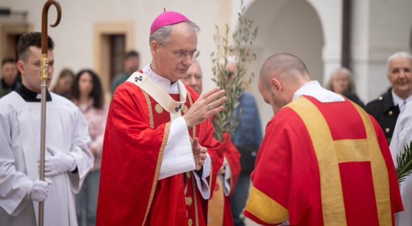 Mons. Dražen Kutleša