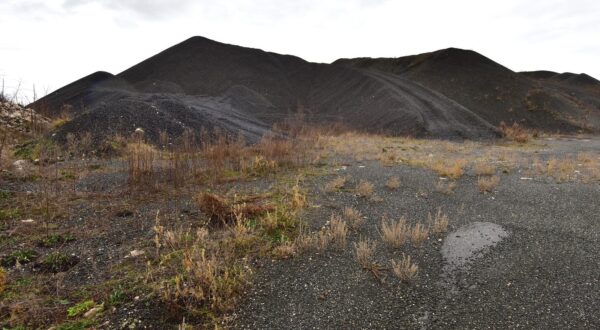 20.01.2015., Biljane - Zdravko Belusic ispred 'crnog brda' u Biljanima Donjim, gdje je deponiran materijal toksican materijal tijekom sanacije sibenskog TEF-a od strane tvrtke MLM. "nPhoto: Dino Stanin/PIXSELL