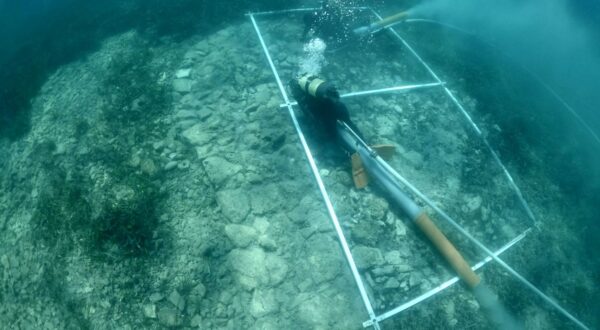 Zadar, 17.05.2025 - Odjel za arheologiju Sveučilišta u Zadru završio je ovogodišnju istraživačku kampanju na potopljenom neolitičkom naselju u Solinama na otoku Korčuli, a zadarskim arheolozima priključila se i britanska voditeljica i autorica dokumentarnih filmova o povijesti i arheologiji Bettany Hughes, izvijestilo je u subotu Sveučilište u Zadru.
foto HINA/ ds