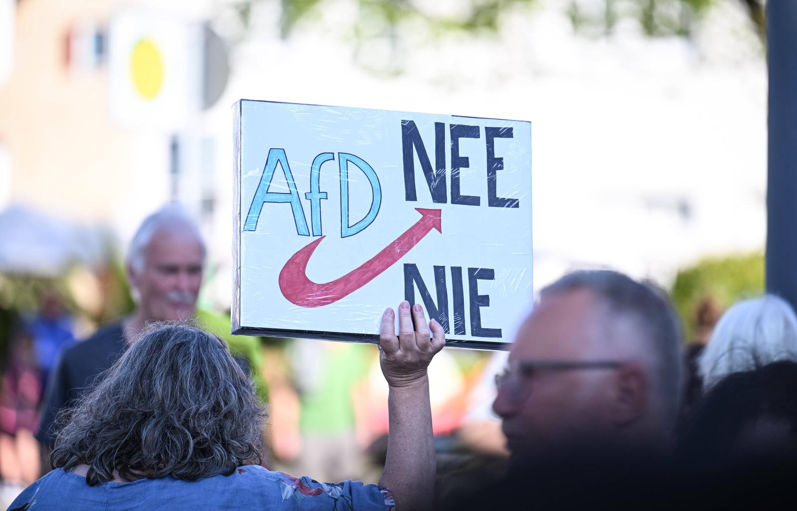 Prosvjed protiv AfD-a