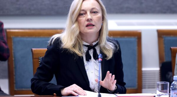 04.04.2025., Zagreb - U Saboru je pocela 20., tematska sjednica Odbora za poljoprivredu na kojoj prijedlog 3. izmjene Strateskog plana Zajednicke poljoprivredne politike Republike Hrvatske 2023.-2027. obrazlaze potpredsjednik Vlade Republike Hrvatske i ministar poljoprivrede, sumarstva i ribarstva David Vlajicic. Photo: Patrik Macek/PIXSELL
