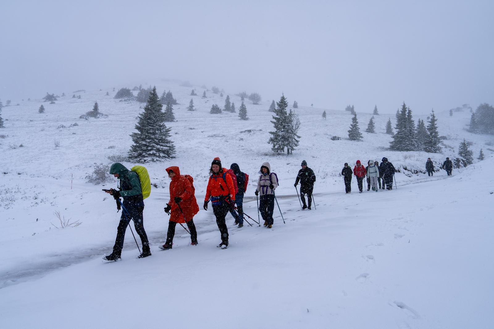 23.05.2025., Zavizan - Snijeg pao u Nacionalnom parku Sjeverni Velebit. Temperatura -1 i jak vjetar. Photo: Hrvoje Kostelac/PIXSELL