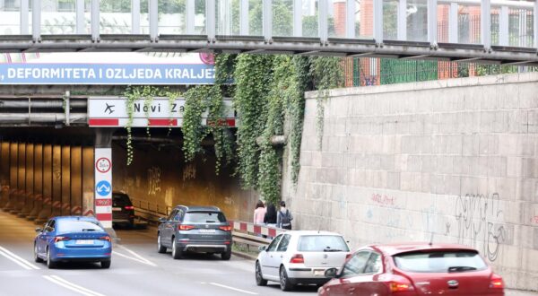 24.08.2022., Zagreb - Brsaljan koji se s ograde Botanickog vrta spusta u podvoznjak u Miramarskoj, zidanoj konstrukciji daje prirodniji izgled, ali sad vec definitivno smeta prometu jer prekriva postavljenu signalizaciju. Photo: Patrik Macek/PIXSELL