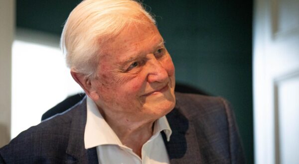 Sir David Attenborough during the unveiling of a portrait of the broadcaster and conservationist painted by Jonathan Yeo, at a private ceremony at the Royal Society in London. Picture date: Tuesday June 25, 2024. Photo: James Manning/PRESS ASSOCIATION