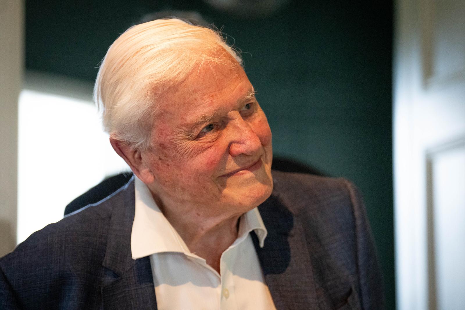 Sir David Attenborough during the unveiling of a portrait of the broadcaster and conservationist painted by Jonathan Yeo, at a private ceremony at the Royal Society in London. Picture date: Tuesday June 25, 2024. Photo: James Manning/PRESS ASSOCIATION