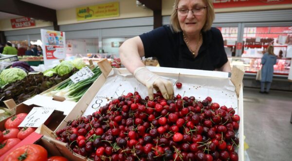 16.05.2024., Karlovac - Bogata ponuda voca i povrca na gradskoj trznici Karlovac. Photo: Kristina Stedul Fabac/PIXSELL