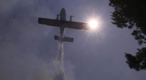 21.06.2025., Pisak - Uz vatrogasce i Airtractor, u pomoc su stigli i kanaderi. Mnoga imovina je unistena i izgorjela, a trenutno se radi na lokalizaciji pozara kako se ne bi prosirio prema Medicima i Lokvvi Rogoznici.  Photo: Ivo Cagalj/PIXSELL