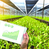 agriculture technology concept man Agronomist Using a Tablet in an Agriculture Field read a report