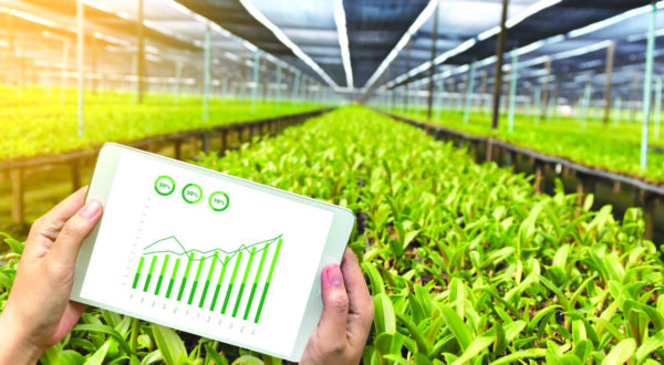 agriculture technology concept man Agronomist Using a Tablet in an Agriculture Field read a report