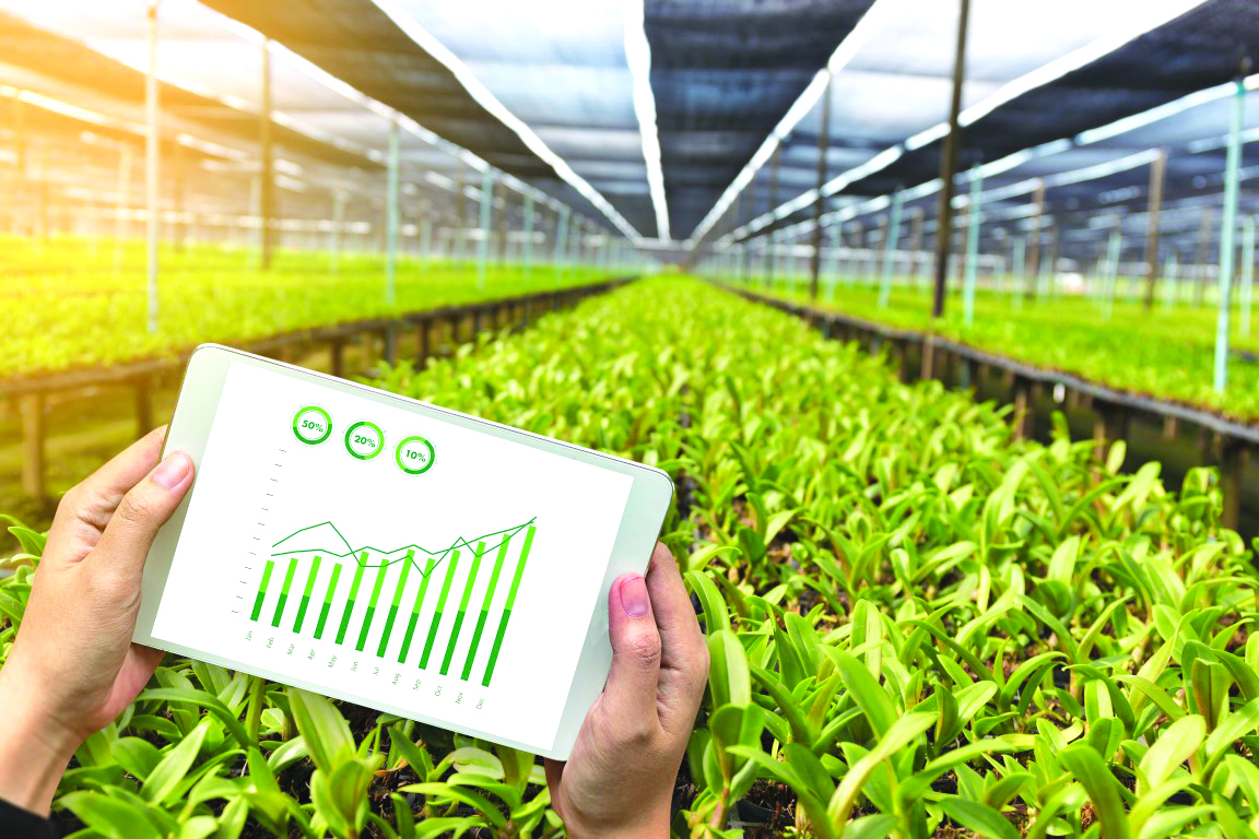 agriculture technology concept man Agronomist Using a Tablet in an Agriculture Field read a report