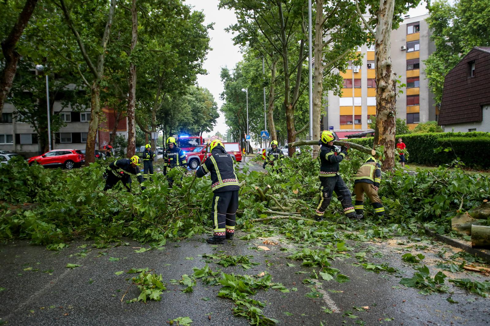 07.07.2025., Zagreb - U prijepodnevnim satima oluja je poharala Zagreb. Vatrogasci uklanjaju stablo koje je palo na cestu u Kauzlaricevom prilazu u Dugavama. Photo: Zeljko Lukunic/PIXSELL