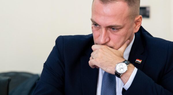 David Vlajčić