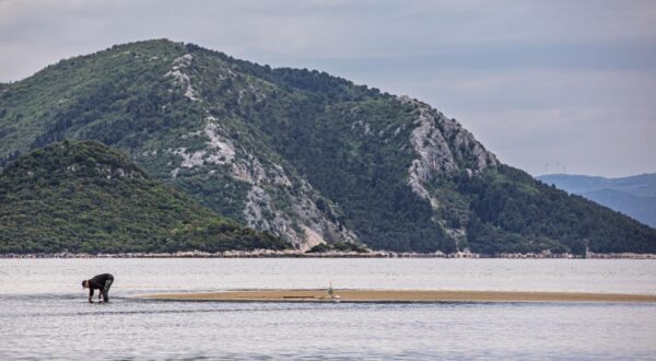 Ušće Neretve