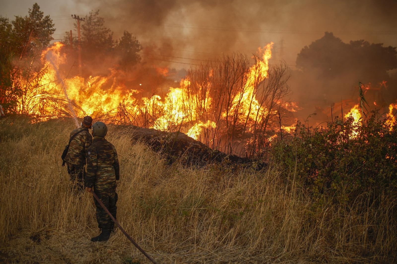 12 August 2024, Greece, Athen: Volunteers extinguish a forest fire in Ano Patima near Penteli in the northern Athens region. Just a few kilometers northeast of the Greek capital, firefighters are battling countless fires over an area of around 200 square kilometers. The government has now asked the EU for support. Photo: Socrates Baltagiannis/ Photo: Socrates Baltagiannis/DPA