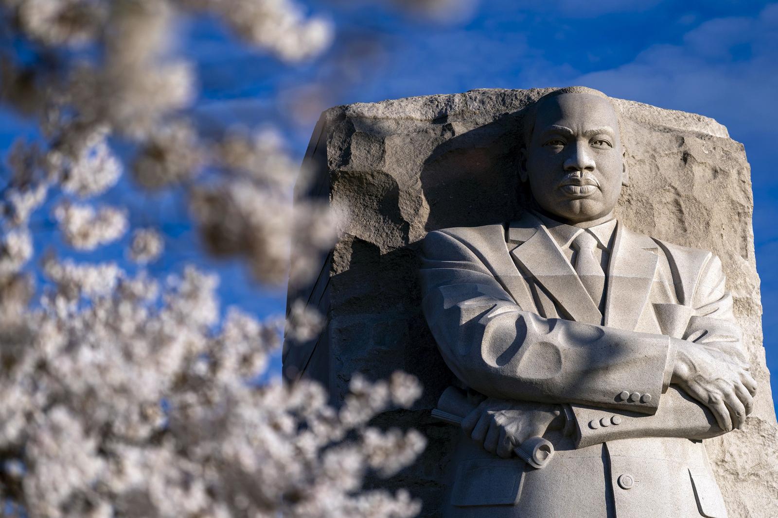 The Martin Luther King Jr. Memorial is seen as cherry blossoms begin to bloom along the Tidal Basin in Washington, DC on Thursday, March 27, 2025. The National Parks Service predicted 2025 peak bloom between March 28 to 31. Photo by Bonnie Cash/UPI Photo via Newscom Photo: BONNIE CASH/NEWSCOM