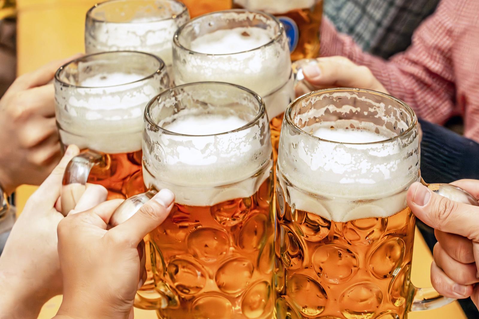 Wiesnbesucher stoßen im Hofbräu-Festzelt mit ihrer Maß Bier an, Oktoberfest, München, Oktober 2024 Deutschland, München, Oktober 2024, Wiesnbesucher stoßen im Hofbräu-Zelt mit ihrer Maß Bier an, Biertrinker, Maßkrüge, Bierpreis im Festzelt 14,95 Euro, Oktoberfest, typisch bayerisch, Volksfest, Bayern, *** Oktoberfest visitors toast with their Maß of beer in the Hofbräu tent, Oktoberfest, Munich, October 2024 Germany, Munich, October 2024, Oktoberfest visitors toast with their Maß of beer in the Hofbräu tent, beer drinkers, beer mugs, beer price in the tent 14.95 euros, Oktoberfest, typical Bavarian, folk festival, Bavaria, Photo: IMAGO/Wolfgang Maria Weber/IMAGOSTOCK&PEOPLE