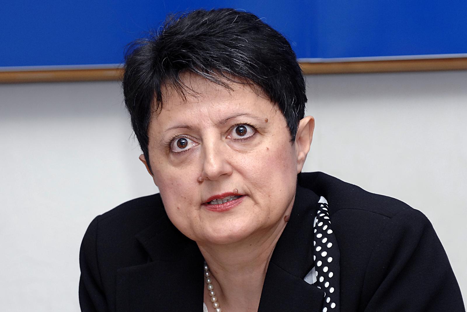 06.11.2012., Sisak - Na konferenciji za medije u zupanijskom HDZ-u o promjeni naziva mjesta Gvozd govorili su Ivanka Roksandic, Marija Idzan, zamjenica nacelnika Opcine Gvozd i Ivan Santek. rPhoto: Nikola Cutuk/PIXSELL