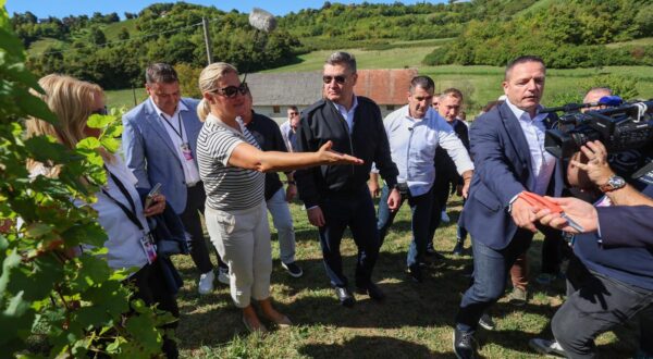 10.09.2024., Jastrebarsko - Vinogradarska kuca Braj. Berba grozdja organizirana za sefove diplomatskih misija i medjunarodnih organizacija akreditiranih u Republici Hrvatskoj - "Diplomatskoj berbi" u Jastrebarskom. predsjednik RH Zoran Milanovic Photo: Sanjin Strukic/PIXSELL