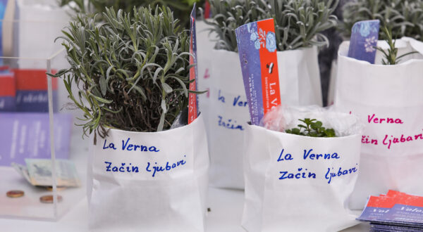 Photo: Tomislav Miletic/PIXSELL