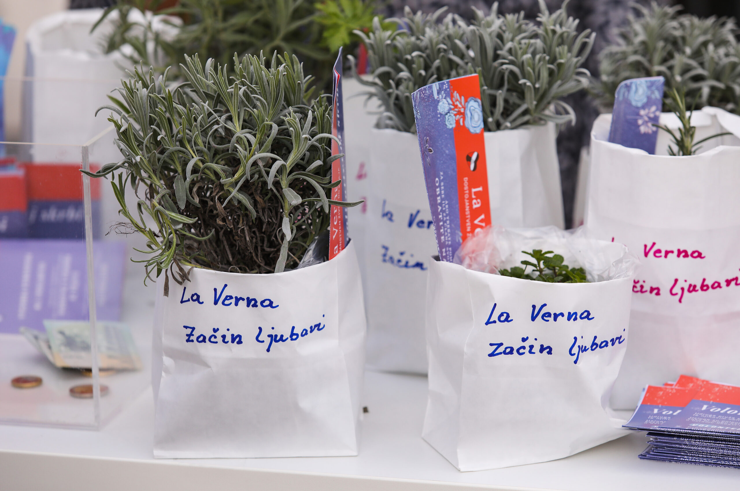 Photo: Tomislav Miletic/PIXSELL