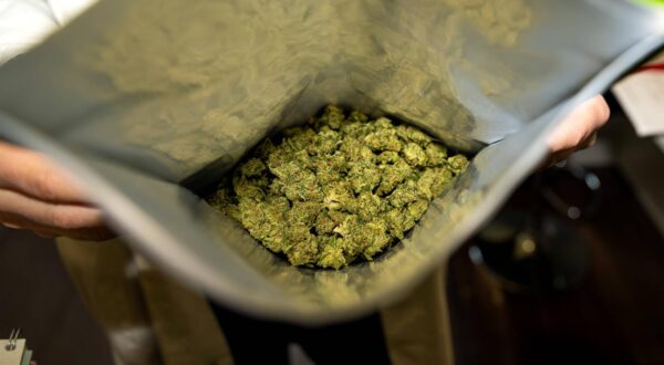 Deutschland 28. Mai 2025: Im Bild: Das Bild zeigt eine geöffnete Verpackung mit getrockneten Cannabisblüten, die von einer Person gehalten wird. Diese Darstellung bezieht sich auf medizinisches Cannabis, das in Deutschland und anderen Ländern legal für therapeutische Zwecke verschrieben wird. Die Blüten, auch als Medizinalhanf bekannt, werden unter strengen Qualitätskontrollen an Patienten abgegeben, die ein entsprechendes Rezept haben. Sie finden Anwendung in verschiedenen Bereichen der Schmerztherapie, Palliativmedizin oder bei neurologischen Erkrankungen. Die Aufnahme hebt die Form hervor, in der medizinisches Cannabis, reich an Cannabinoiden wie THC und CBD, für die Apothekenabgabe verpackt ist. Landkreis Osnabrück Niedersachse Copyright: xFotostandx/xGelhotx Photo: IMAGO/Fotostand / Gelhot/IMAGOSTOCK&PEOPLE