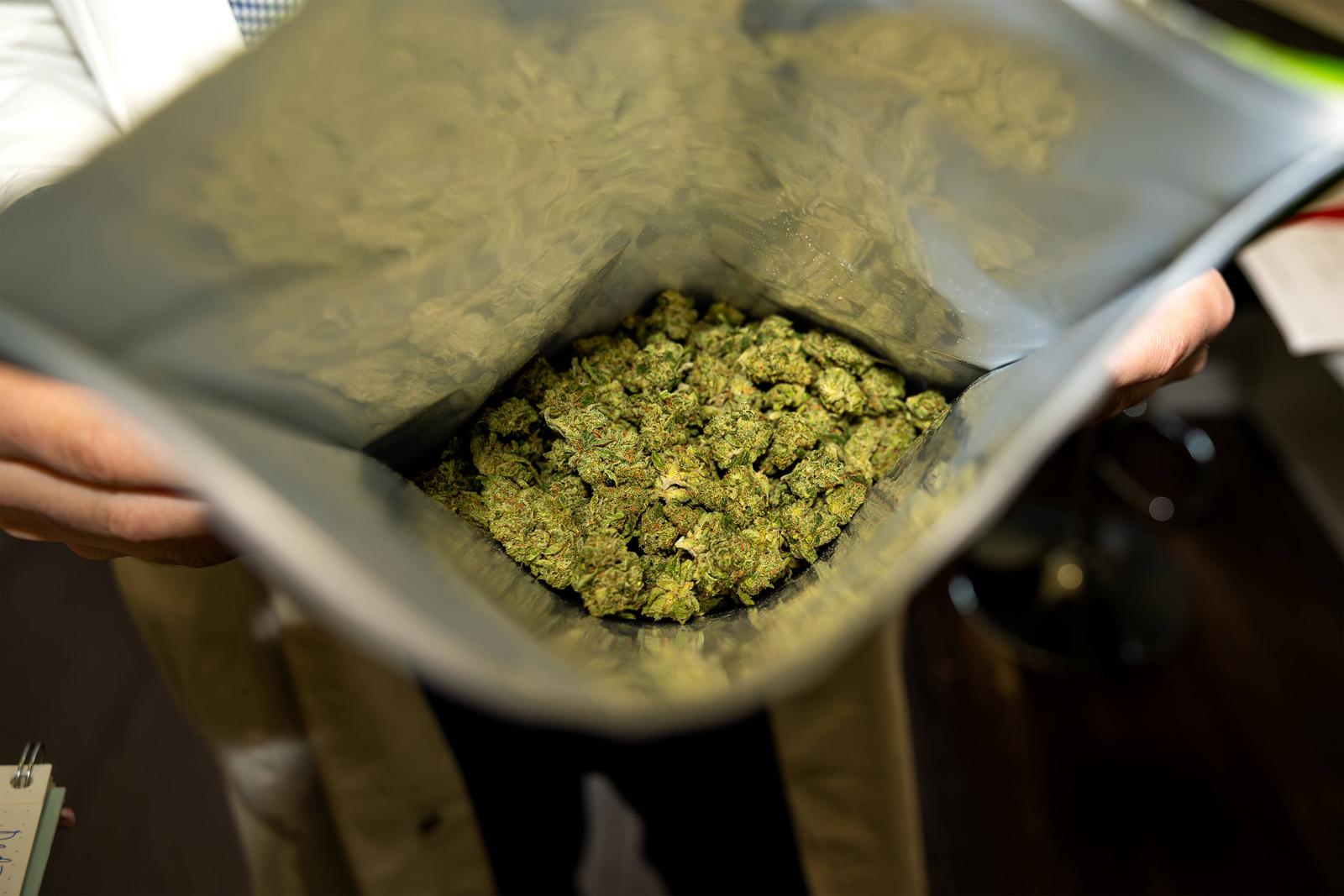 Deutschland 28. Mai 2025: Im Bild: Das Bild zeigt eine geöffnete Verpackung mit getrockneten Cannabisblüten, die von einer Person gehalten wird. Diese Darstellung bezieht sich auf medizinisches Cannabis, das in Deutschland und anderen Ländern legal für therapeutische Zwecke verschrieben wird. Die Blüten, auch als Medizinalhanf bekannt, werden unter strengen Qualitätskontrollen an Patienten abgegeben, die ein entsprechendes Rezept haben. Sie finden Anwendung in verschiedenen Bereichen der Schmerztherapie, Palliativmedizin oder bei neurologischen Erkrankungen. Die Aufnahme hebt die Form hervor, in der medizinisches Cannabis, reich an Cannabinoiden wie THC und CBD, für die Apothekenabgabe verpackt ist. Landkreis Osnabrück Niedersachse Copyright: xFotostandx/xGelhotx Photo: IMAGO/Fotostand / Gelhot/IMAGOSTOCK&PEOPLE