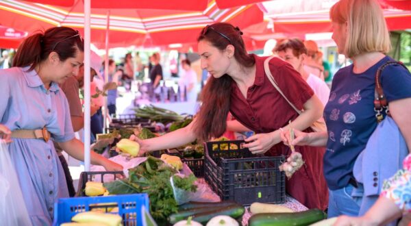 Eko tržnica Jarun/Igor Soban/Pixsell 
