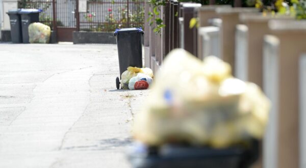 Varaždin: Podijeljene kante za razvrstavanje otpada 11.09.2018., Varazdin - Podijeljene kante za razvrstavanje otpada. Photo: Vjeran Zganec Rogulja/PIXSELL