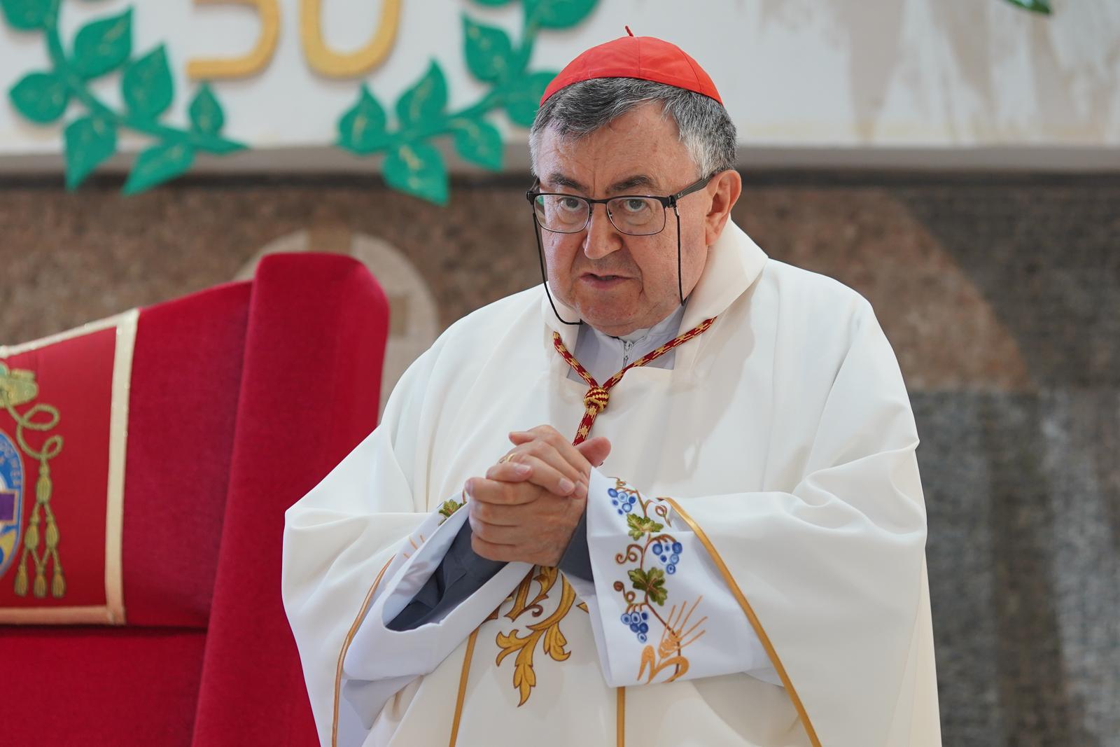 Kardinal Vinko Puljić