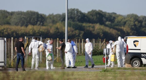 22.09.2025., Sokolovac - Pripreme i osiguranje farme svinja zbog pocetka usmrcivanja zarazenih svinja africkom svinjskom kugom. Photo: Davor Javorovic/PIXSELL