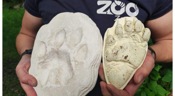 Zoološki vrt Zagreb